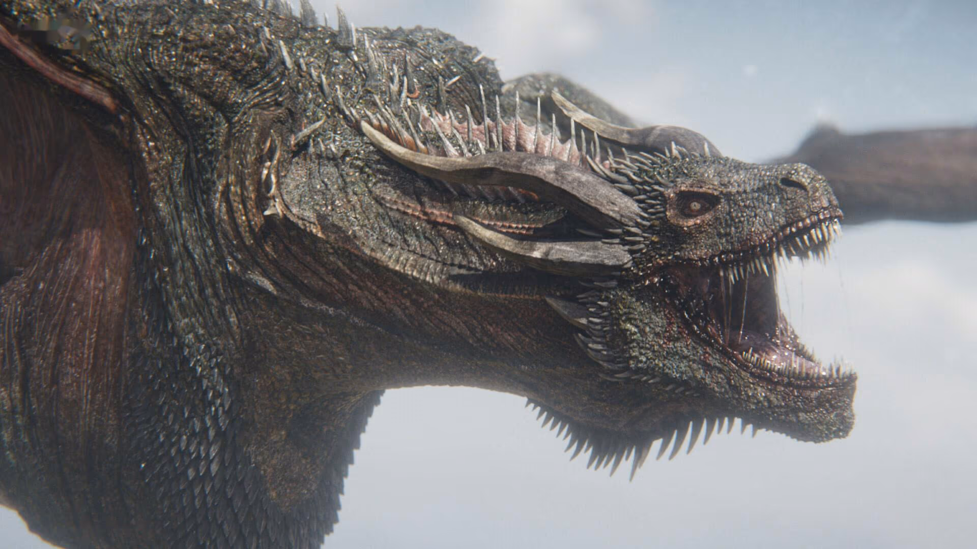 Wyvern – creature art by Hexar Studios