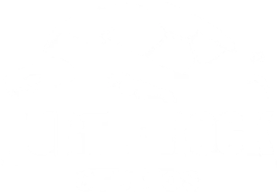 Turtle Rock Studios logo
